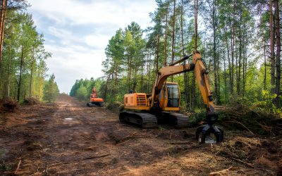 5 Jenis dan Macam Alat Berat untuk Proyek Kehutanan